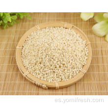 Sorgo de arroz